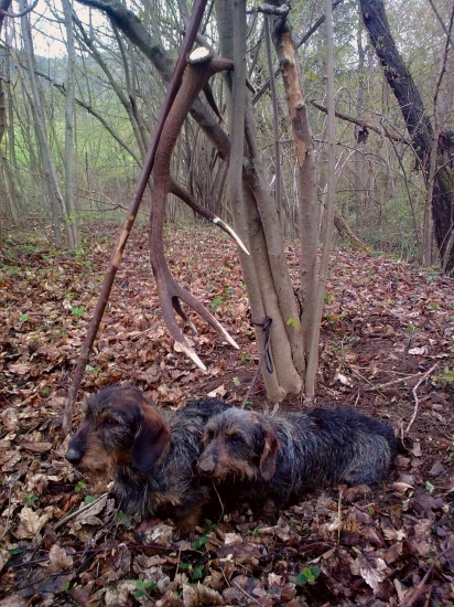 Za to môžu hafani ;)