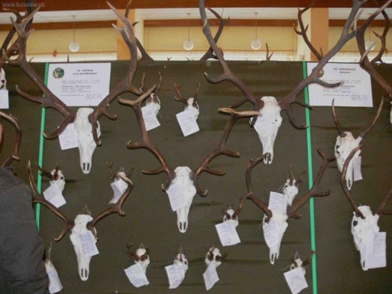 trofeje nášho PZ na CHPT RgO Stredné Považie