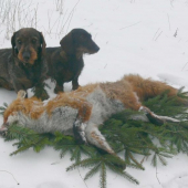 Ukončenie trápenia...