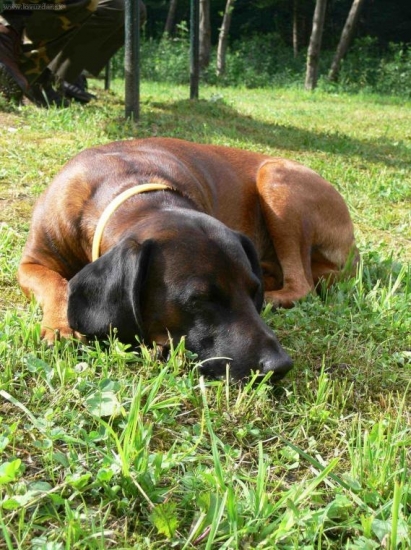 Už mám toho dosť!