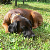 Už mám toho dosť!