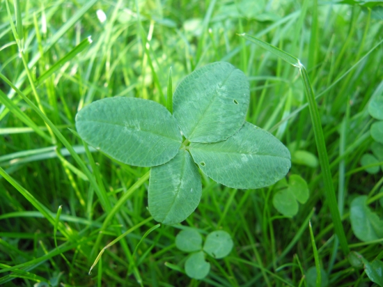 Všetkým pre šťastie :-)