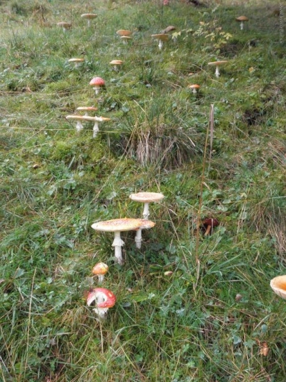 Rodinka úžasných :-)