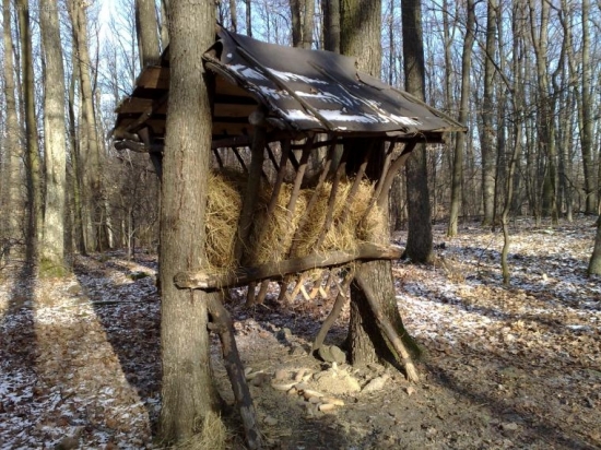 Sobotňajšie prikrmovanie