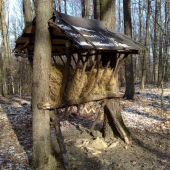 Sobotňajšie prikrmovanie