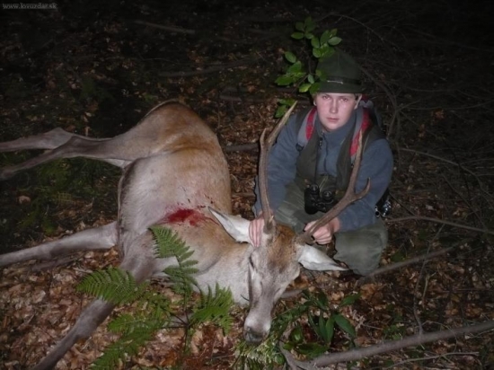 První jelen