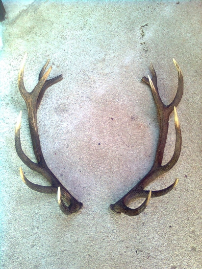 po roku zase spolu 1