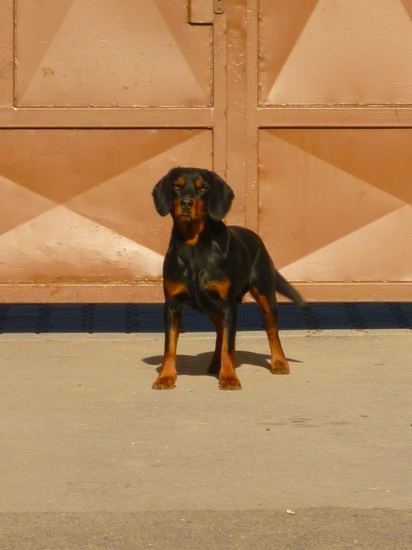 IGO zo Slavošovskej doliny