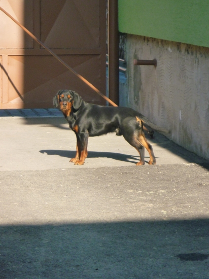 IGO zo Slavošovskej doliny 2