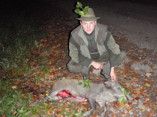 diviača