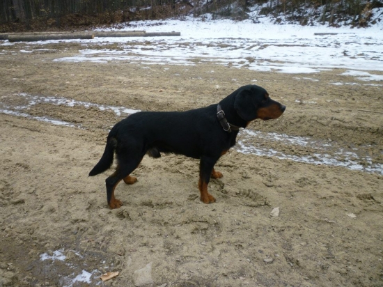 Igo so Slavošovskej doliny