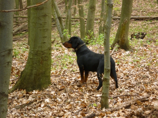 všade dobre, v hore najlepšie