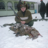 silvestrovske diviiača