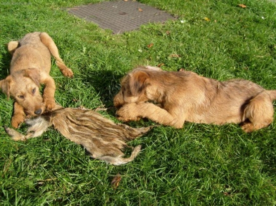 co se v mládí naučíš ...