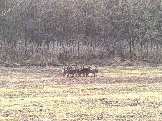 slniečko ich vylákalo