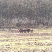 slniečko ich vylákalo