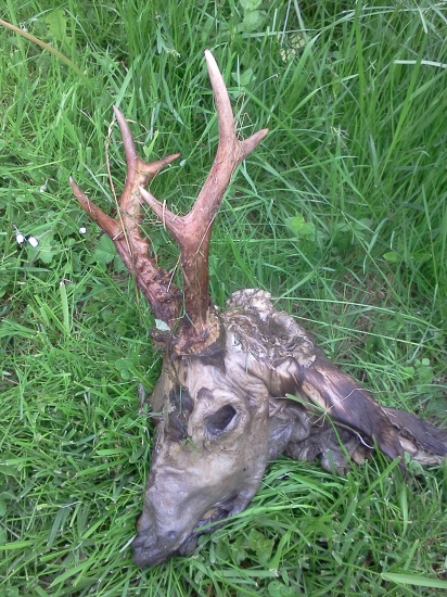 takoví by umírat neměli