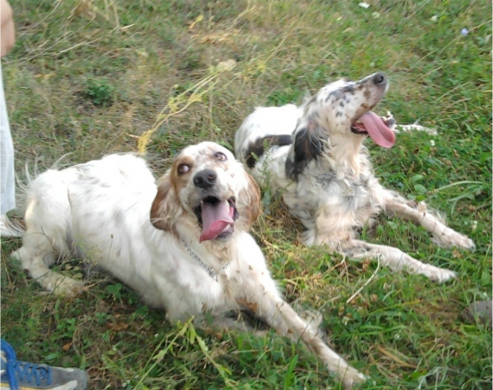 miláčikovia aron a muška