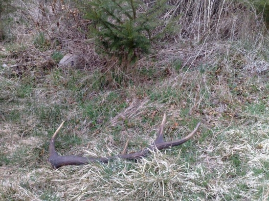 typnite koľko važí?