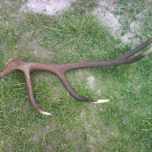 3.5kg 108cm