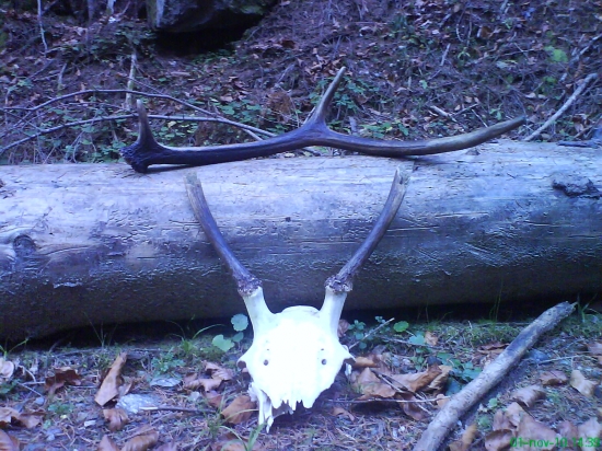 Dnešná prechádzka