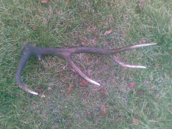 Nedelňajšia prechádzka :D