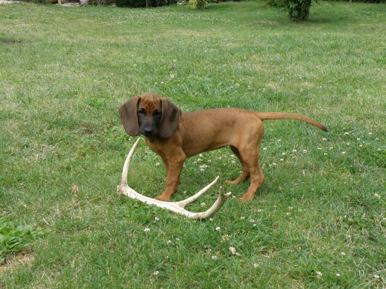 Moja prvá farbiarka