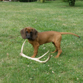 Moja prvá farbiarka