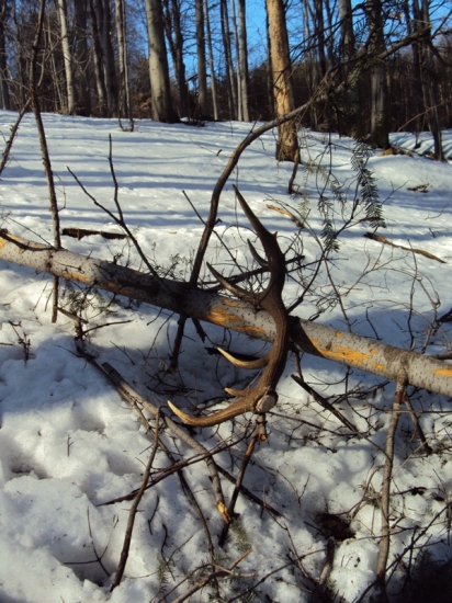 ;) Dnešné štastíčko