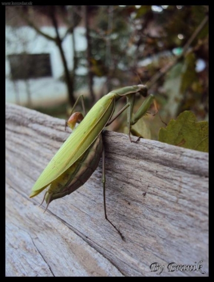 este trosku a som hore...uff...