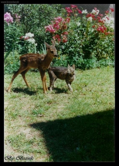 ...najlepsi kamarati..:-P