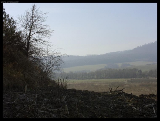 ked zabúši srdce..:-P