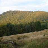 čirč 2