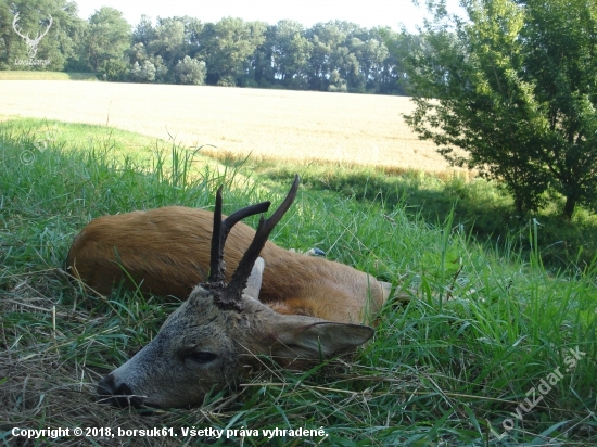 Krásne ráno