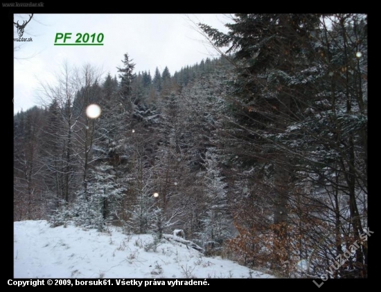 Čirč