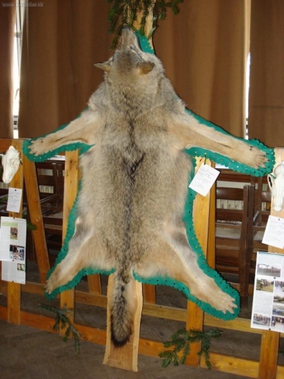 Zemplinske pol. dni 2