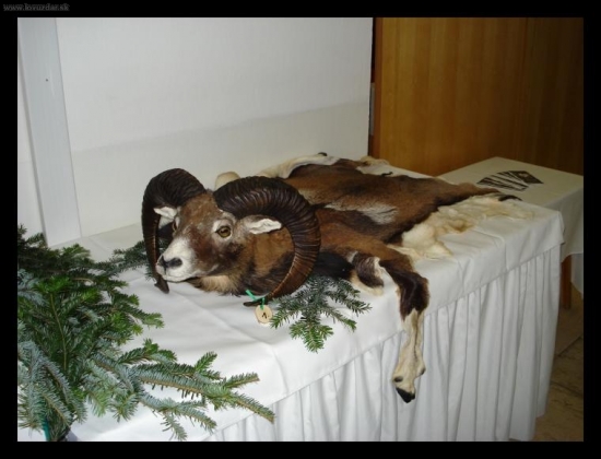 Zemplínske poľovnícke dni 2010