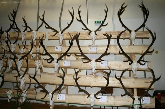 Chov. prehliadka ČADCA