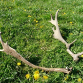 druhe parozie zhodene cca 20min