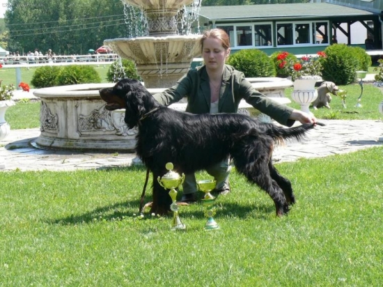 K.V. Dun.Klatov- Quinta z Holubické sráně