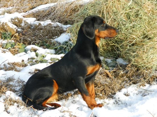 KIKA zo Slavošovskej doliny