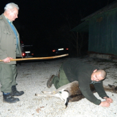 pasovanie za lovca dančej zveri