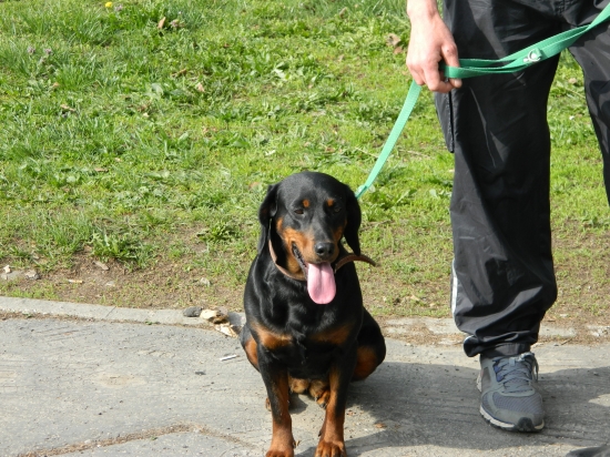 KIKA  zo Slavošovskej doliny,V 2  R.CAC