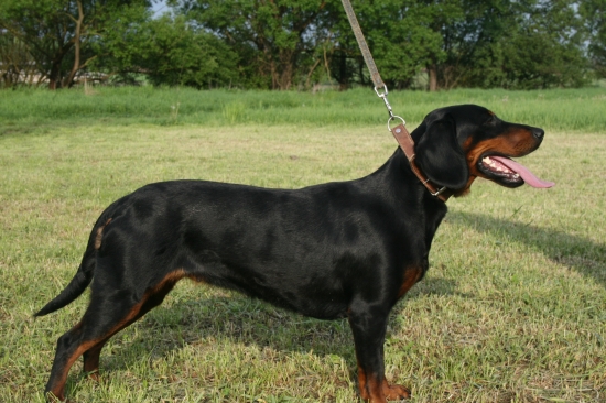 KIKA zo Slavošovskej doliny,V 2 R.CAC