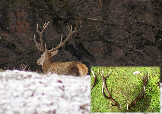 aj toto sa občas podarí