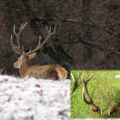 aj toto sa občas podarí
