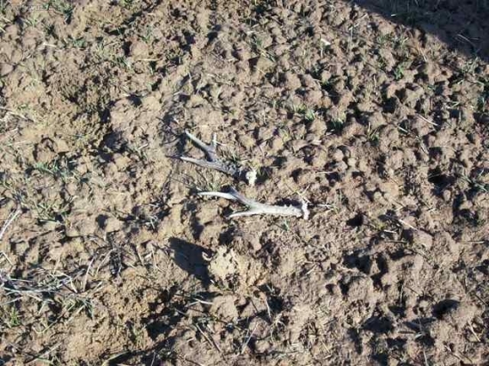 Takto pekne vedla seba