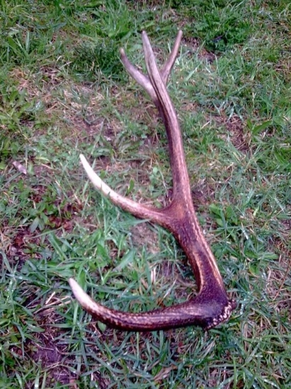 vcerajsie ukoncenie sezony