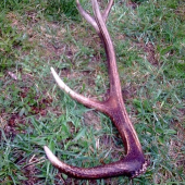 vcerajsie ukoncenie sezony