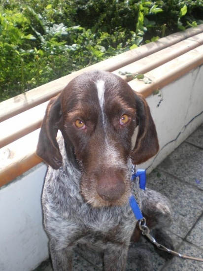 fany a jej klubova vystava